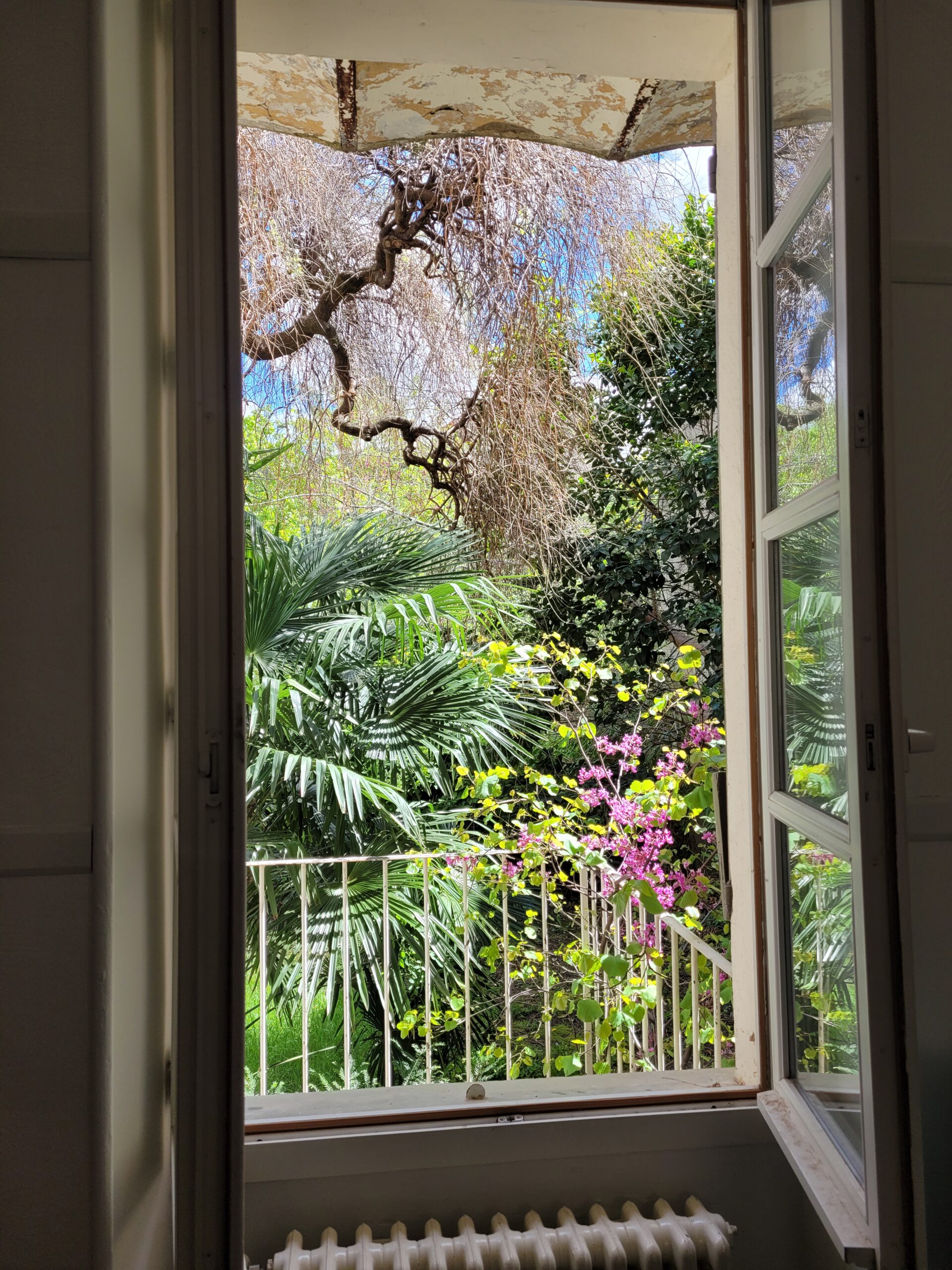 Le Sophora bureaux partagés à Nyons